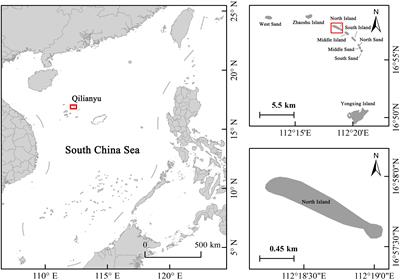 Beach erosion and typhoons reduce green turtle nesting grounds on the Xisha Islands, South China Sea